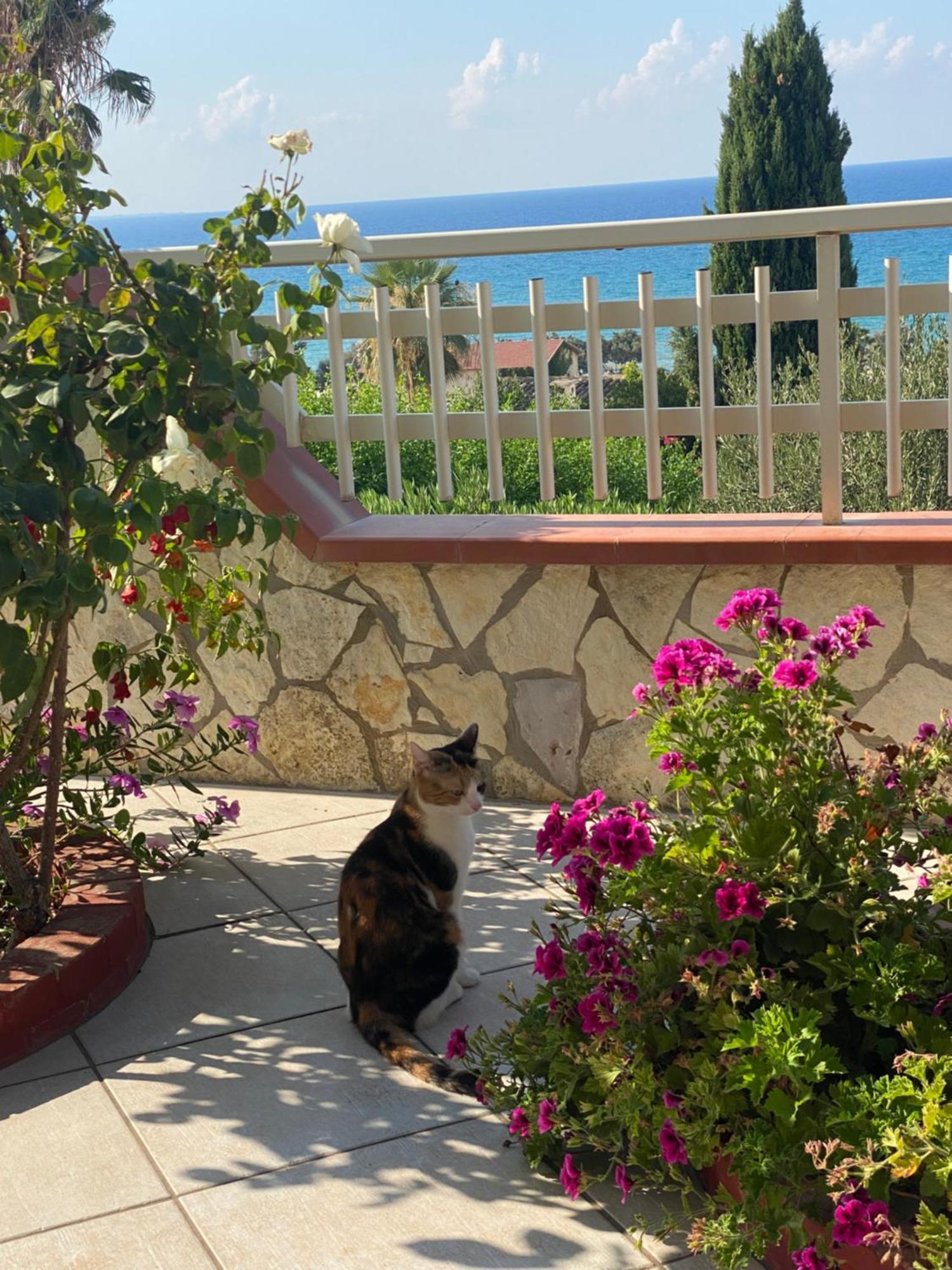 Villa Mare Giuggiola Alcamo Marina Eksteriør billede