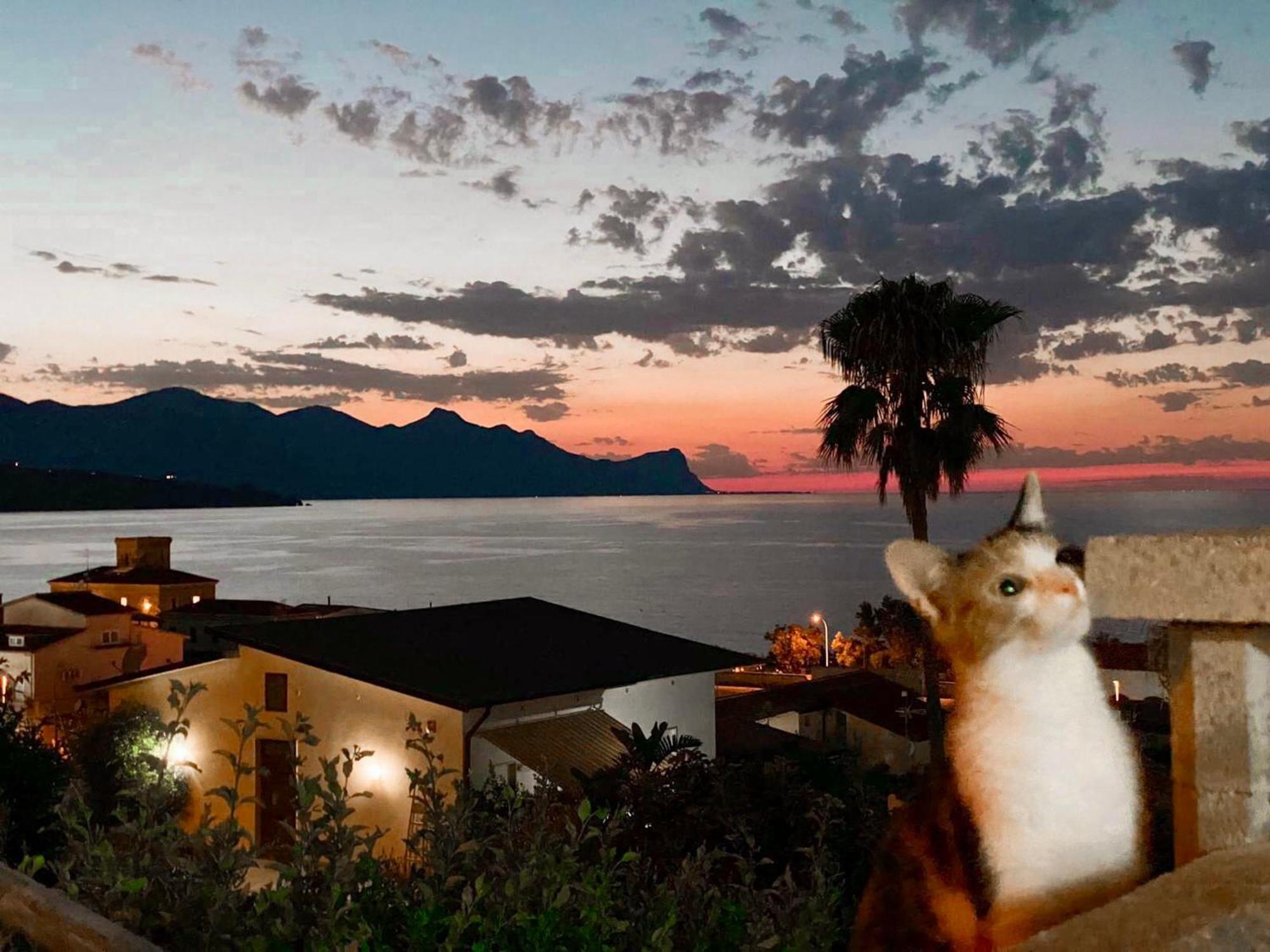 Villa Mare Giuggiola Alcamo Marina Eksteriør billede